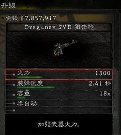 最新5级升级枪爆料,尖端科技，火力全开！